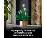 LEGO BOTANICALS 11504 Skrzydłokwiat - 1473410 - zdjęcie 8